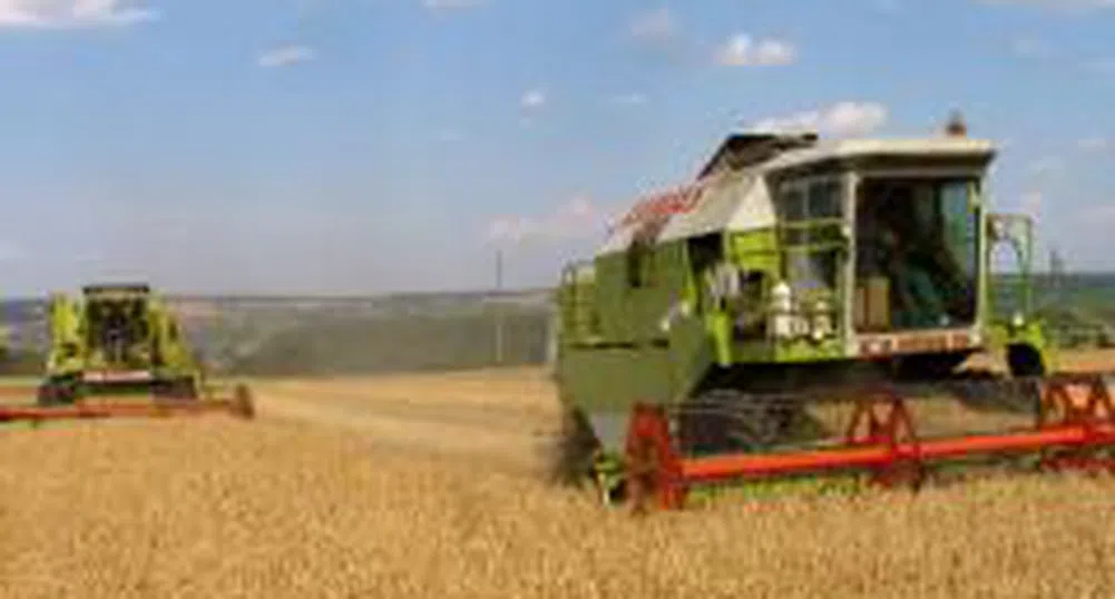 Експерти: Световното производство на пшеница през 2008 г.  ще достигне  657.6 млн. тона