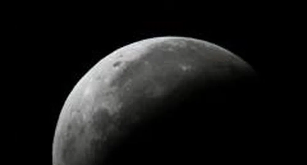 Черната сряда за BSE