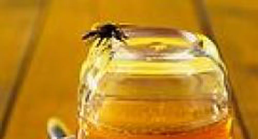 Създават клъстър за производство на мед и пчелни продукти