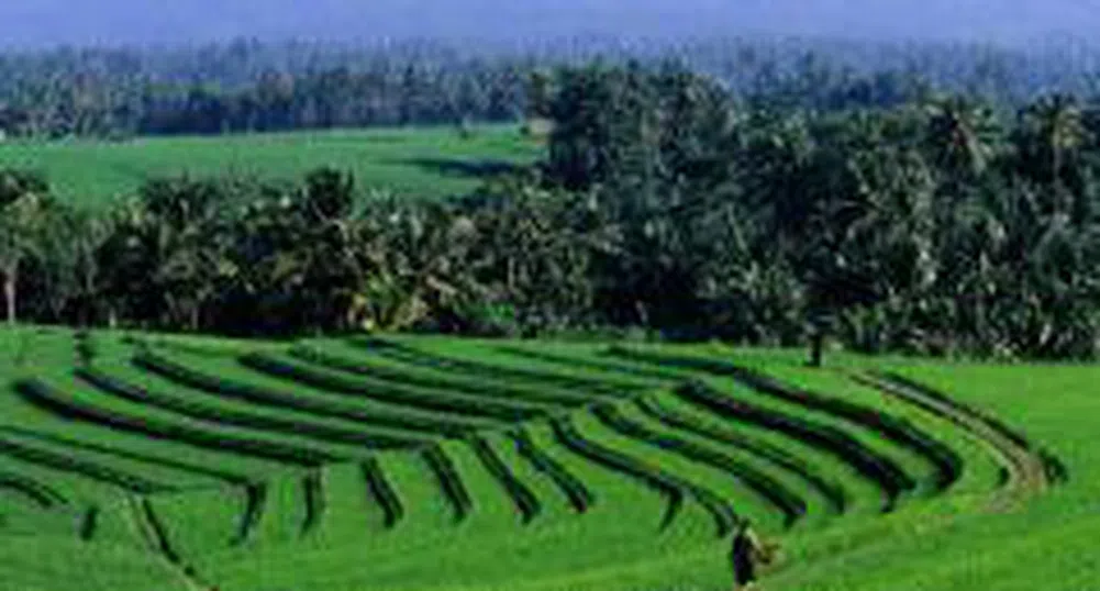 Земеделието да се изведе като национален приоритет, поиска депутатът В. Калинов