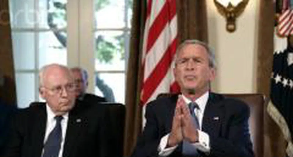 Доходите на Буш - четири пъти по-малко от Чейни