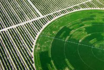 Mel Invest Agricultural Land REIT Raises 15.3 Million Leva in Capital Increase