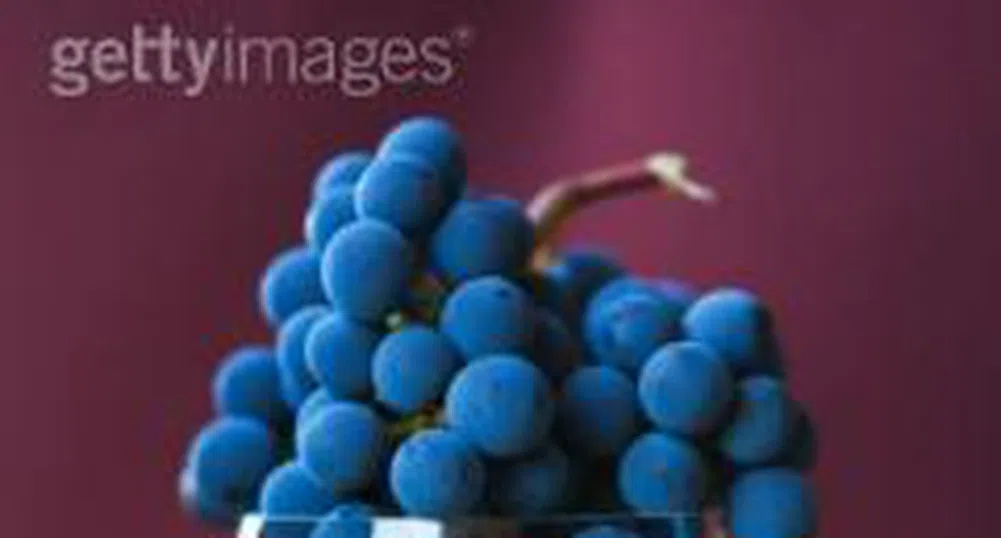 Винарските предприятия са изкупили повече от 17 хил. т грозде към 13 септември