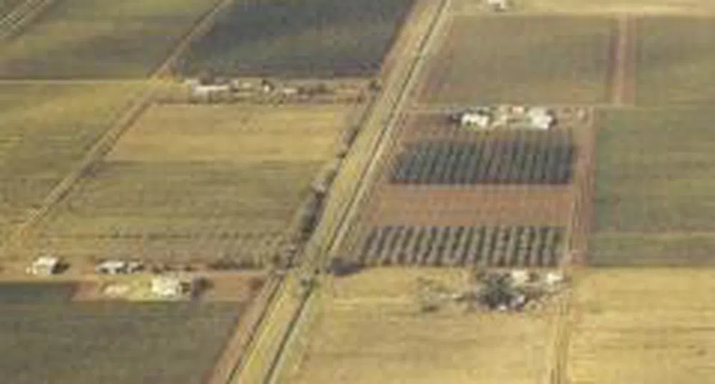 Земеделската земя в Уругвай поскъпва над два пъти за три години