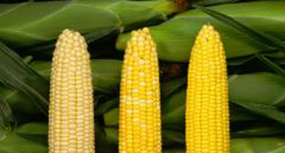 Нихат Кабил е на посещение в Украйна