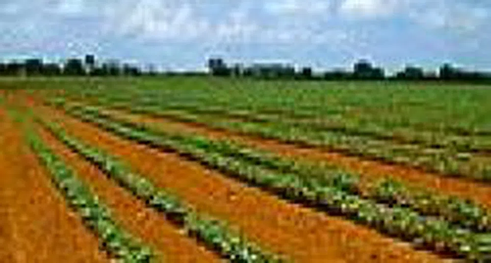 Агро Финанс АДСИЦ купи 7200 дка земеделска земя за месец