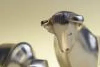 Business Calendar for The Week 19 – 25 November