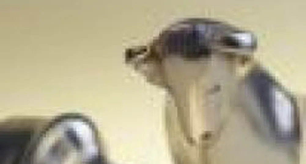 Business Calendar for The Week 19 – 25 November