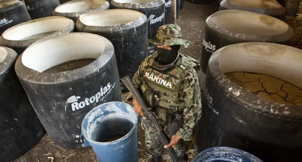 В Мексико конфискуваха тон кокаин, скрит в замразени акули