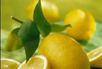 Лимоните поскъпват с 25% на едро през тази седмица