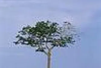 Shareholders In Darvoobrabotvane Approve A 25% Capital Increase