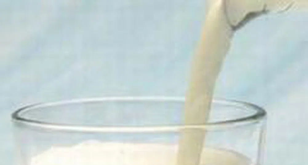 Производители от Великотърновско разляха около 700 литра мляко в знак на протест