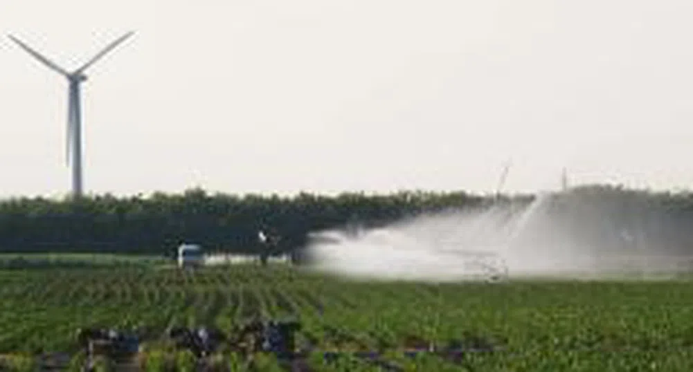 Въвеждат трансферен прозорец в земеделието