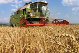 Цените на храните в Европа продължат да растат