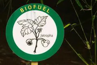 Птичи тор захранва завод за биогаз в Германия