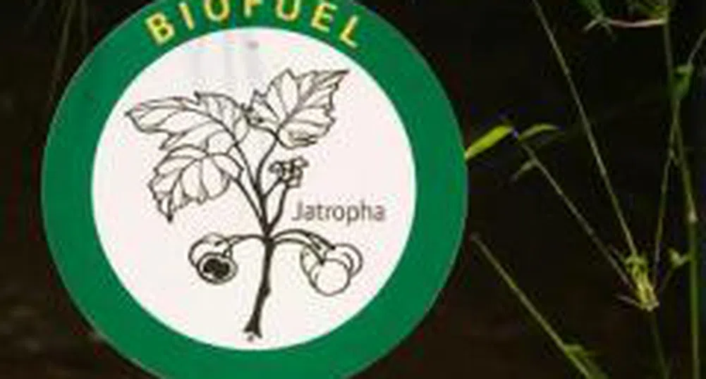 Птичи тор захранва завод за биогаз в Германия