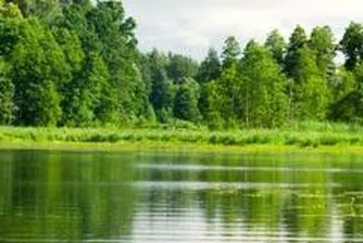 Svilosa Jsc Plans A Media Tour in May