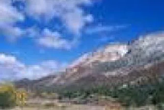 Holding Patishta Projects 2007 Profit At 51 Mln Leva With Revenues At 160 Mln