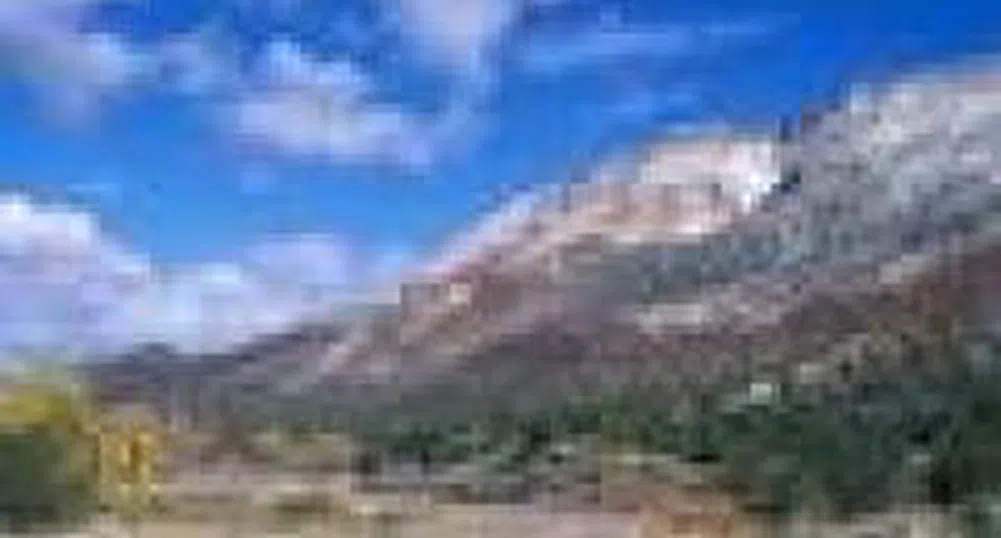 Holding Patishta Projects 2007 Profit At 51 Mln Leva With Revenues At 160 Mln