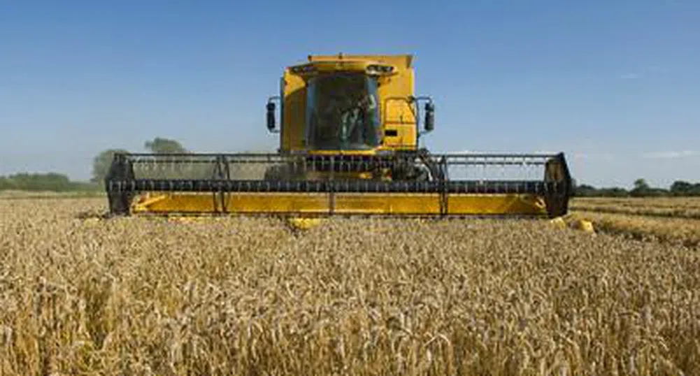 МЗХ очаква 20% по-нисък добив на зърно