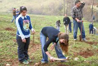 150 доброволци залесяваха гората край Стара Загора