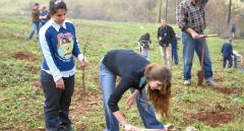 150 доброволци залесяваха гората край Стара Загора