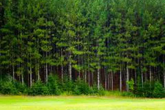 Обсъждат нови 5 защитени зони по НАТУРА 2000