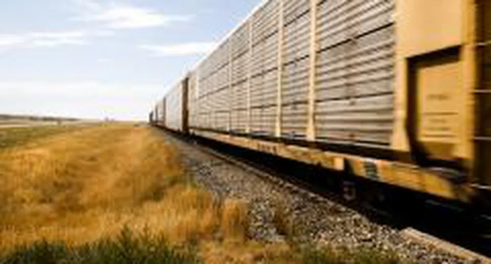 Над 150 влака бяха анулирани заради стачка на унгарските железници