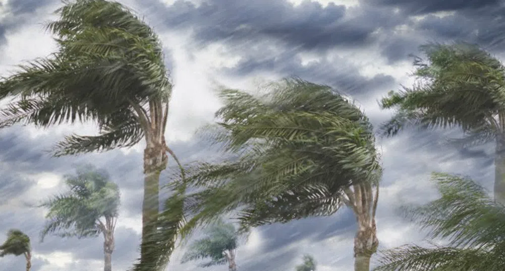 Ураганите с женски имена - три пъти по-смъртоносни