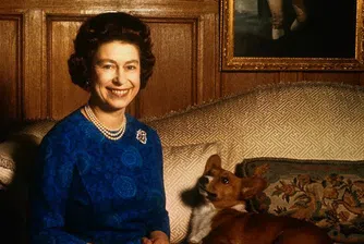 Почина кучето на кралицата