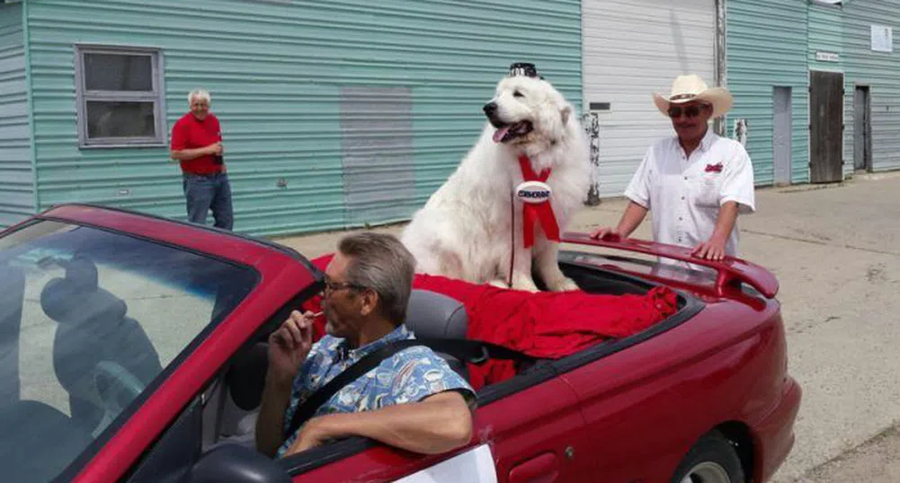 Куче беше преизбрано за кмет на село в Минесота