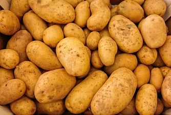Учени ще отглеждат картофи в марсиански условия