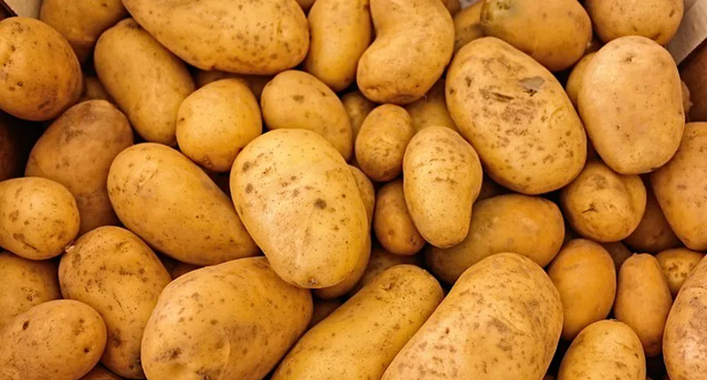 Учени ще отглеждат картофи в марсиански условия