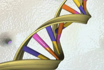 Американски съд отговори може ли да се патентова ДНК
