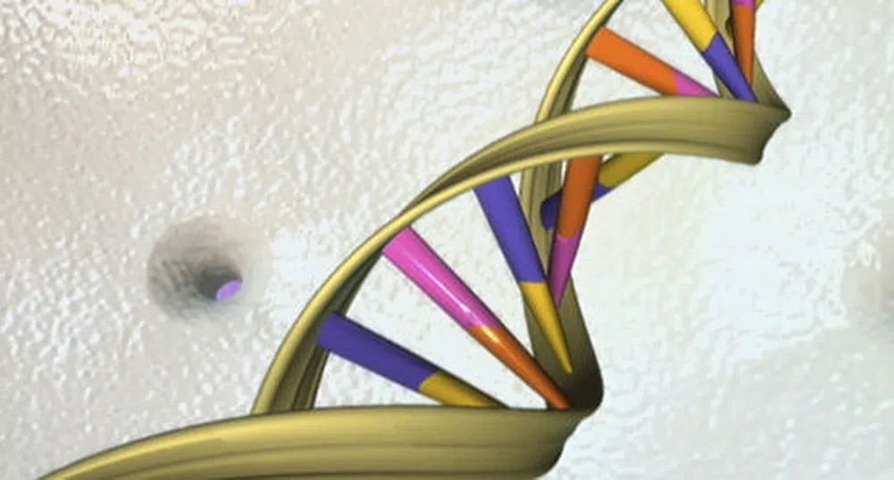 Американски съд отговори може ли да се патентова ДНК
