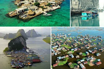 15 от най-интересните водни общности в света