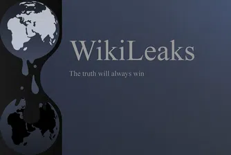 Продадоха сървъра на Wikileaks за 33 хил. долара