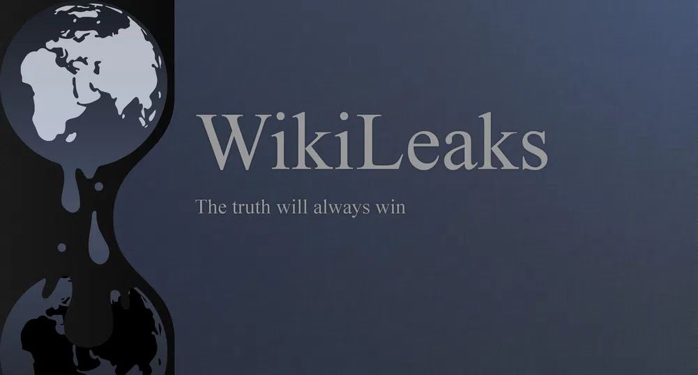Продадоха сървъра на Wikileaks за 33 хил. долара