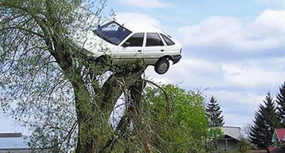 Поляк откри колата си „кацнала на едно дърво“
