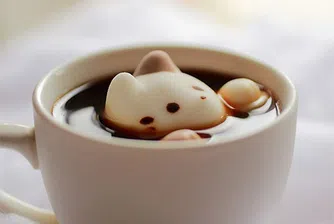 Кафе с... котки за добро утро