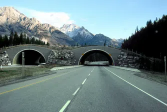 Десетте най-дълги магистрали в света