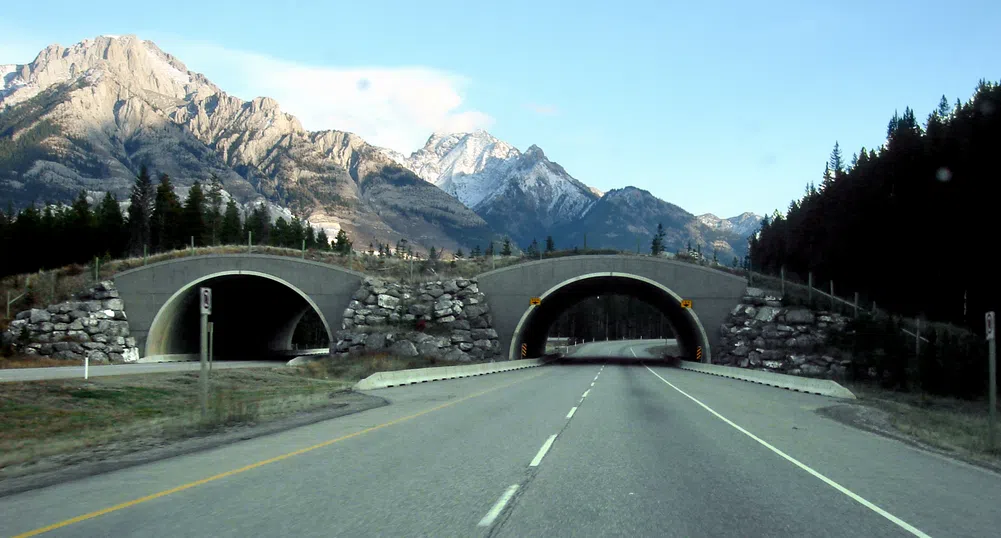 Десетте най-дълги магистрали в света