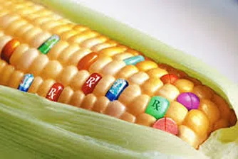 Monsanto се отказа от ГМО в Европа