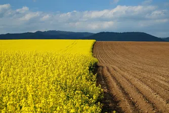 Земеделската земя носи 100% доходност в 18 области на България