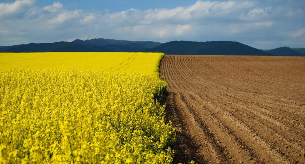 Земеделската земя носи 100% доходност в 18 области на България