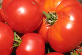 БАБХ спря 108 тона зеленчуци на 5 фирми