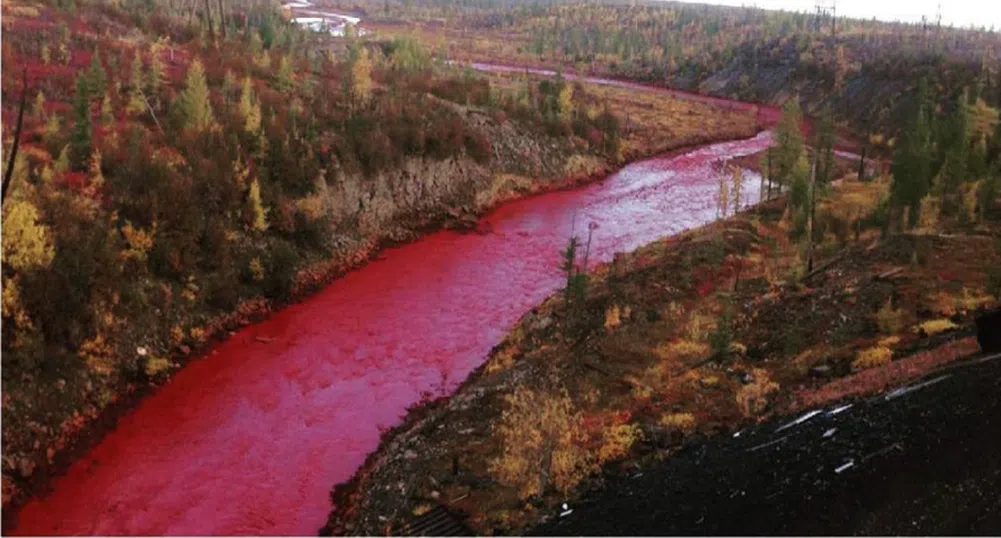 Руска никелова компания призна, че е виновна за червената река