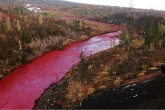 Руска никелова компания призна, че е виновна за червената река