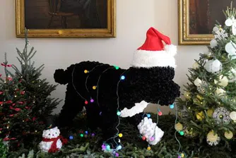 Коледната украса на Белия дом (снимки)