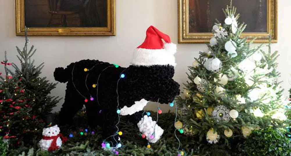 Коледната украса на Белия дом (снимки)
